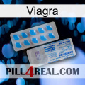 Viagra new15